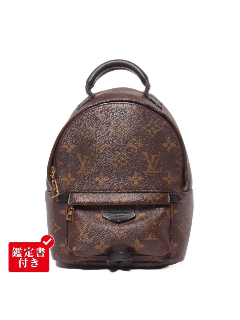Louis Vuitton Backpack Palm Springs Mini Monogram